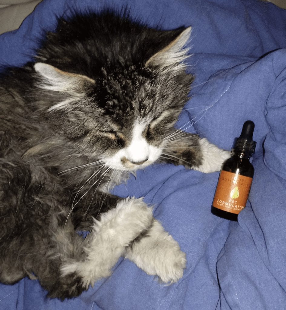 Active Botanical Co. Pet Formulation Review: It Works - DabConnection