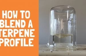how to blend a terpene profile