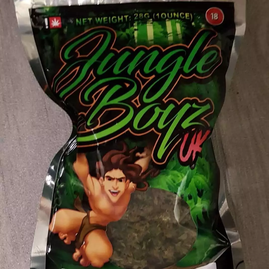 fake jungle boys