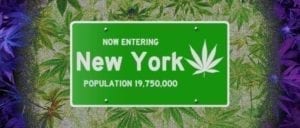 New York population cannabis sign