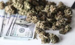 banking and cannabis