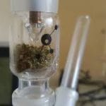 cannabis in the lab