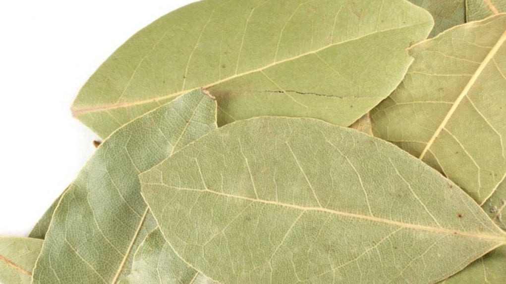 myrcene myrcene is also found in bay leaves