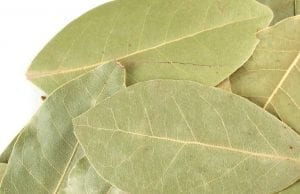 myrcene is also found in bay leaves