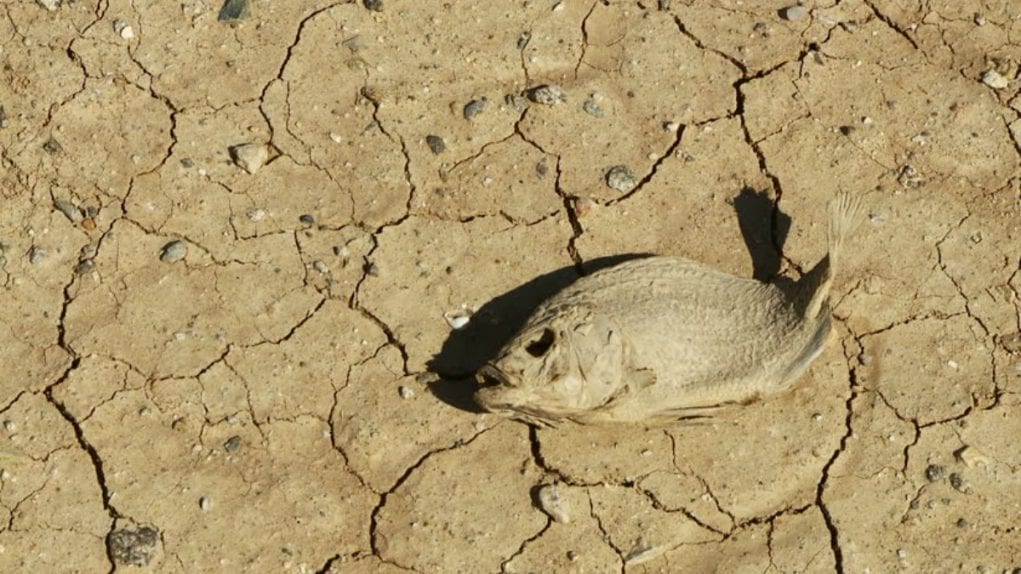 dry_cotton_mouth cotton mouth feels this dry