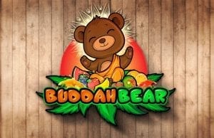 Buddah_Bear_sucks