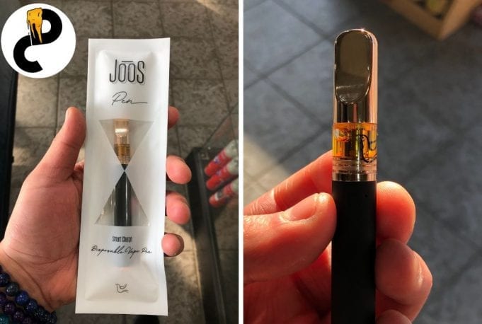 nature's grace joos disposable pen review