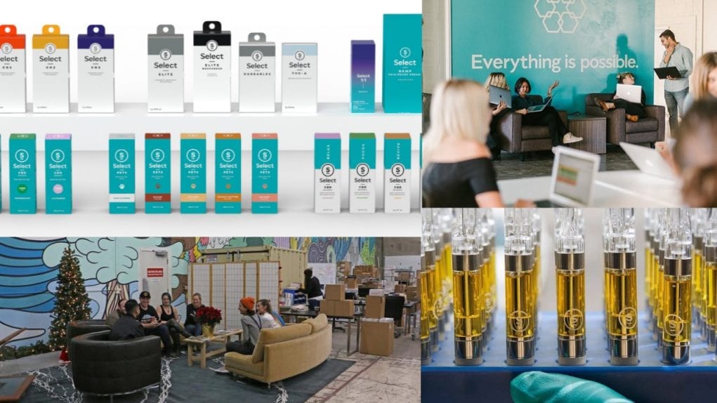 Cura_Cannabis_Solutions