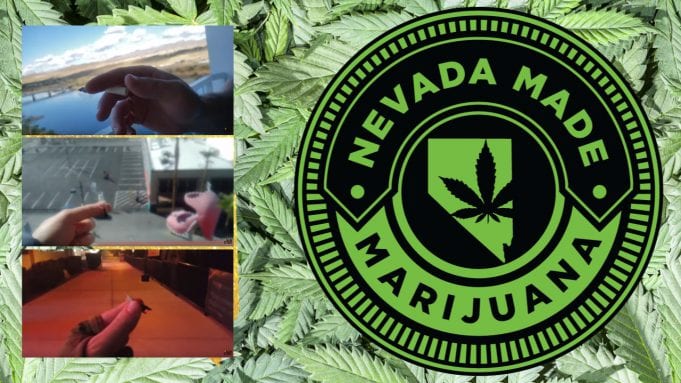 Nevada Cannabis Flower Reviews Nevada flower tour