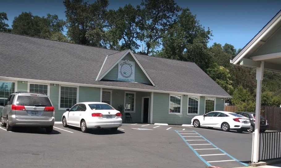 pure-life-collective-store Pure life Collective Store