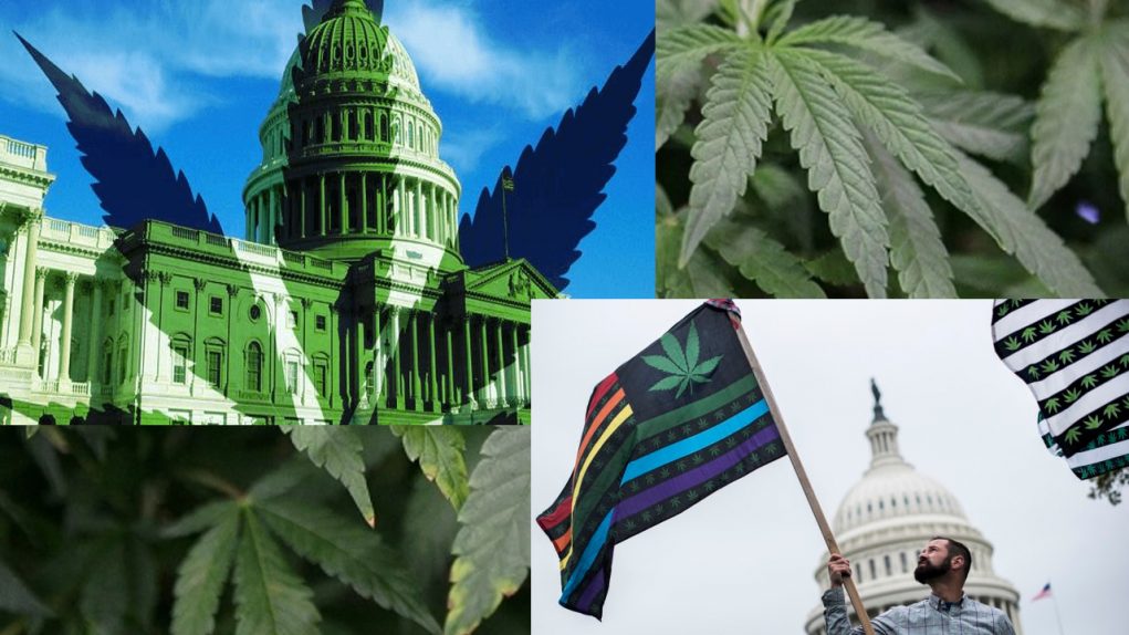 Washington_DC_legalize