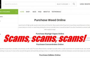 Scam_vape_cart_websites