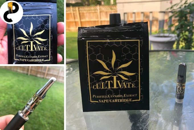 IESO Cartridge Review – Smooth and Flavorful Hits, Not As Strong ieso cartridge review