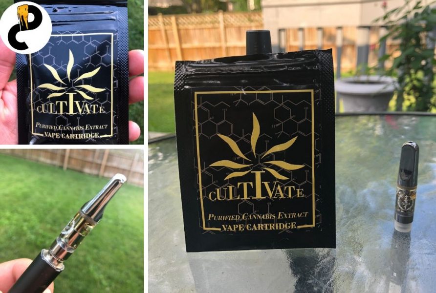 ieso cartridge review