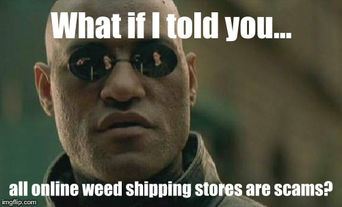 online_weed_scam_sites_Morpheus