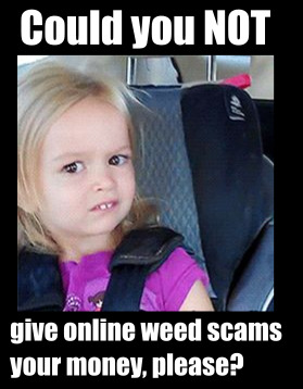 online_weed_scam_sites_could_you_not