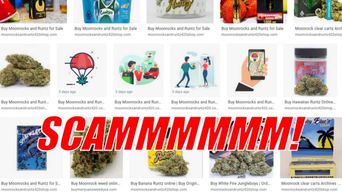Fake Drug Shipping Website Scams Are Taking Off! moonrocksandruntz420scam