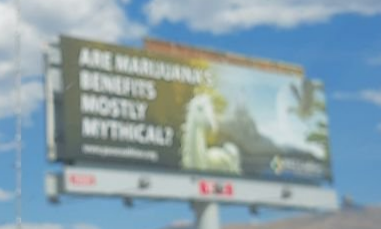 PACE_anti-marijuana_billboard