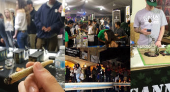 Should You Buy From an Underground Sesh?