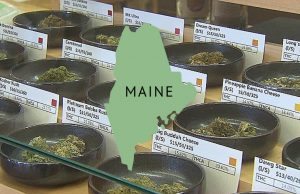 Maine_legalized_recreational_sales