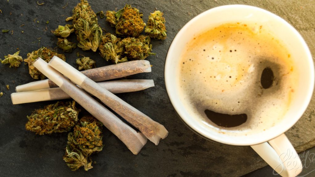 Wake_and_Bake Wake_and_Bake