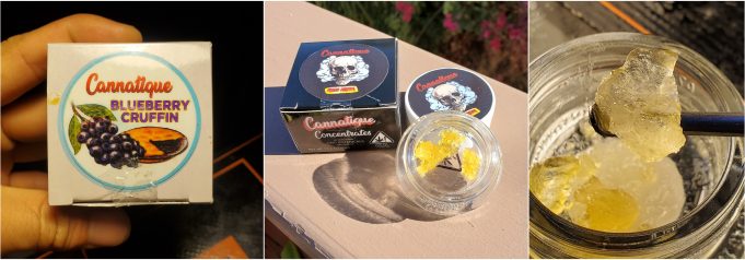 Cannatique Farms Review – Brand Responsible For Several Popular Strains cannatique review