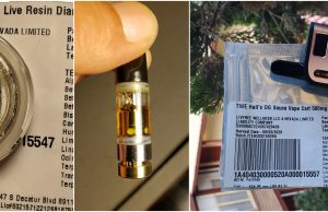 tumbleweed extracts review