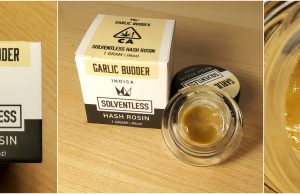 west coast cure hash rosin review