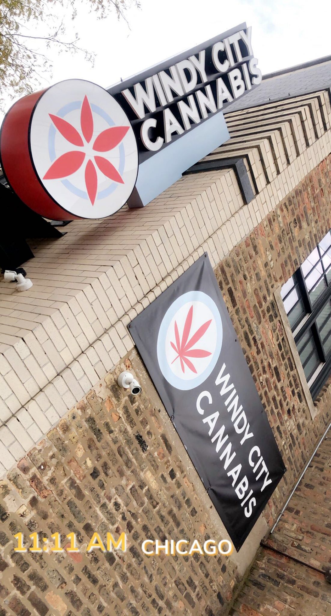 windy city cannabis
