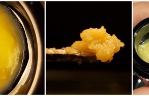 cali stripe live rosin batter review