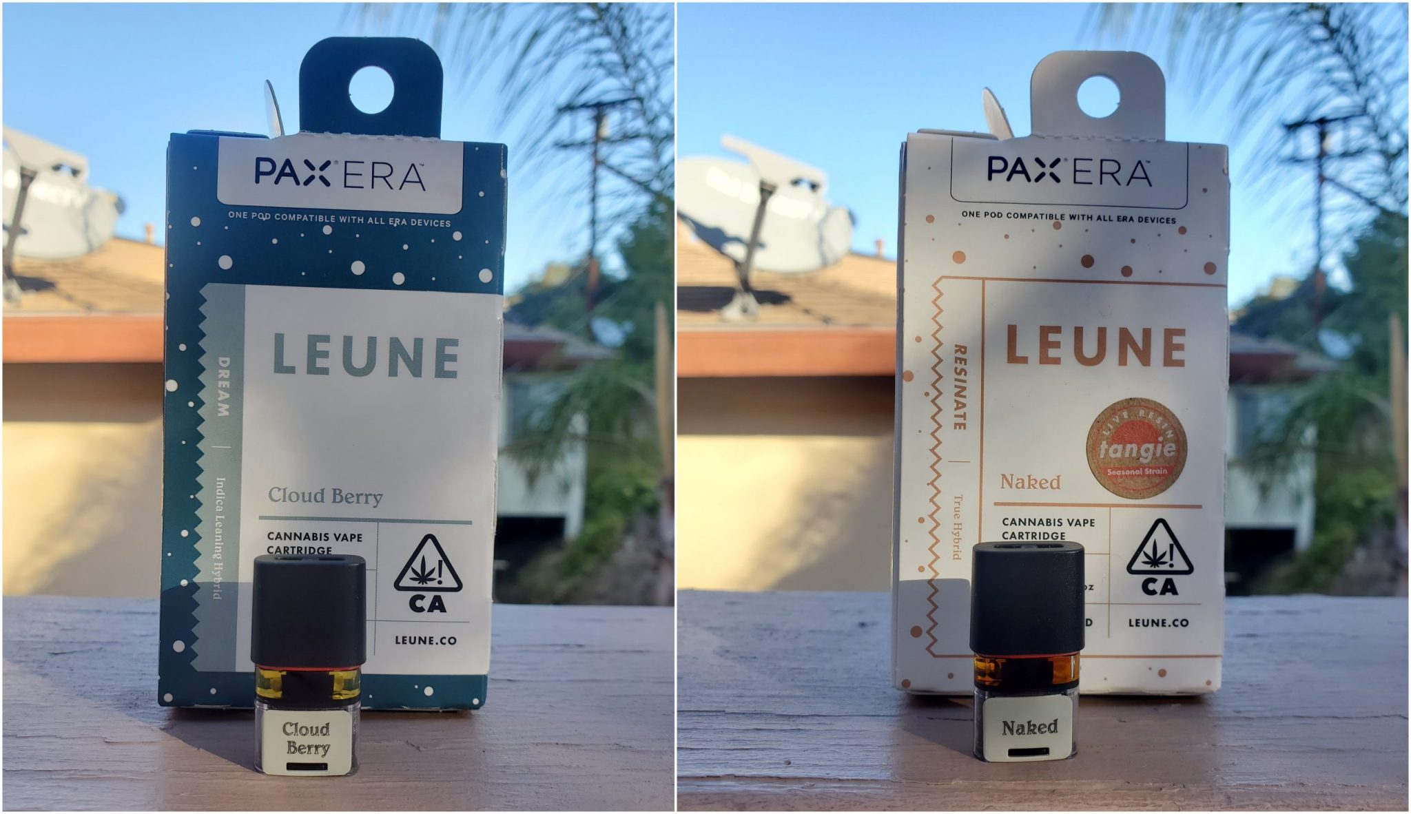 Leune Pax Pods Review Great Live Resin, OK Distillate
