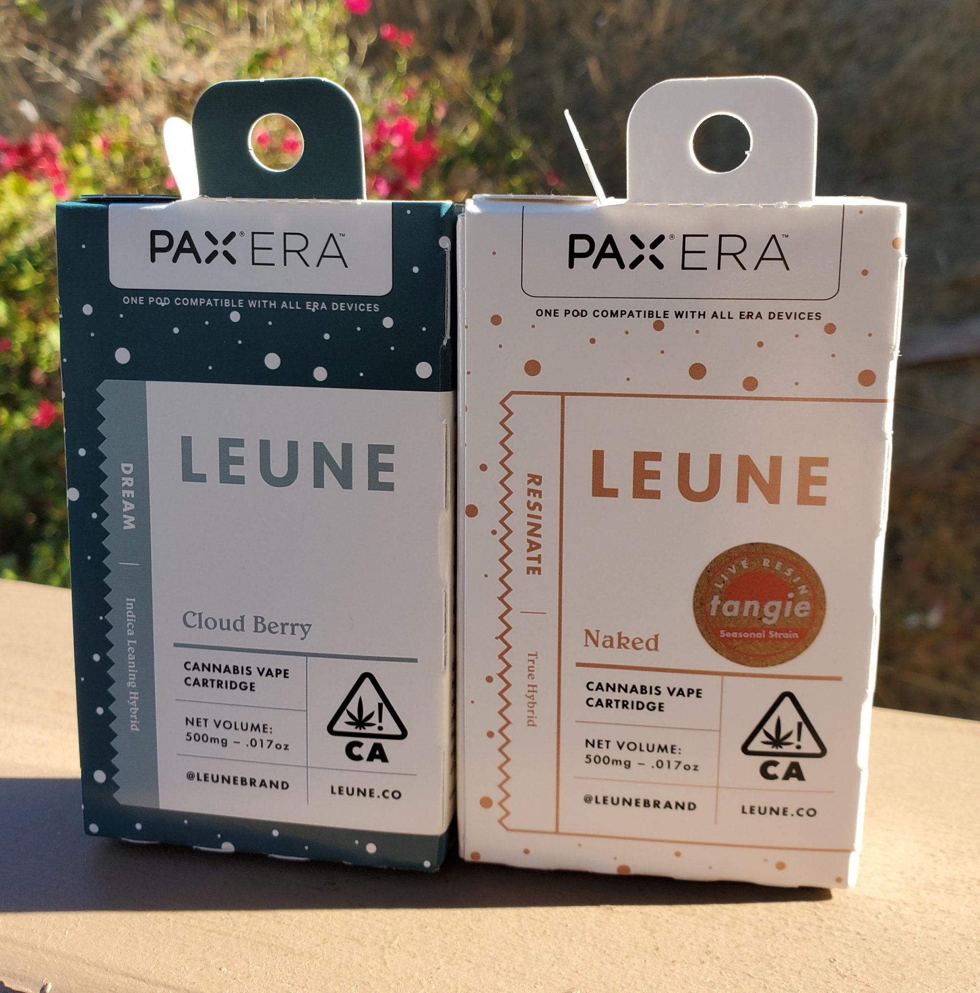 Leune Pax Pods Review Great Live Resin, OK Distillate
