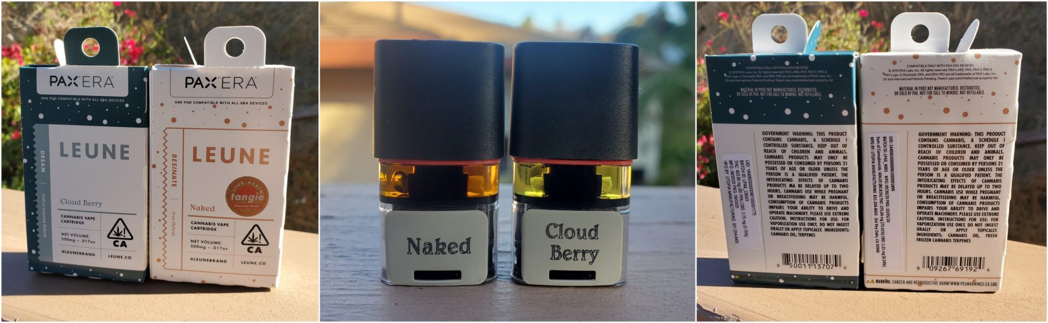 Leune Pax Pods Review Great Live Resin, OK Distillate
