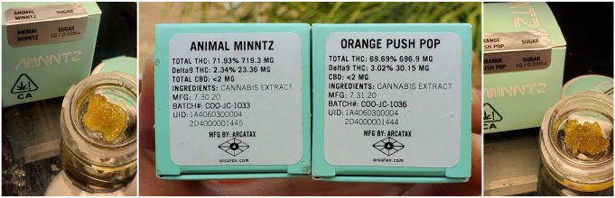 Minntz Extracts Review – Nice Effects and Taste minntz review
