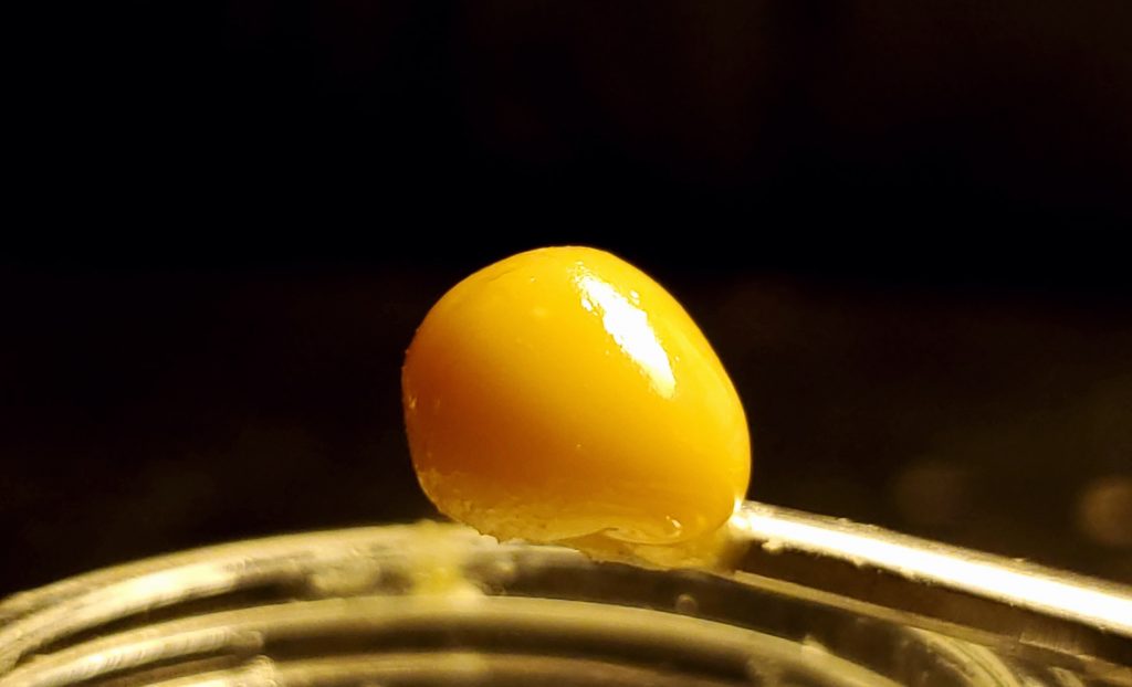 have hash key lime pie close up