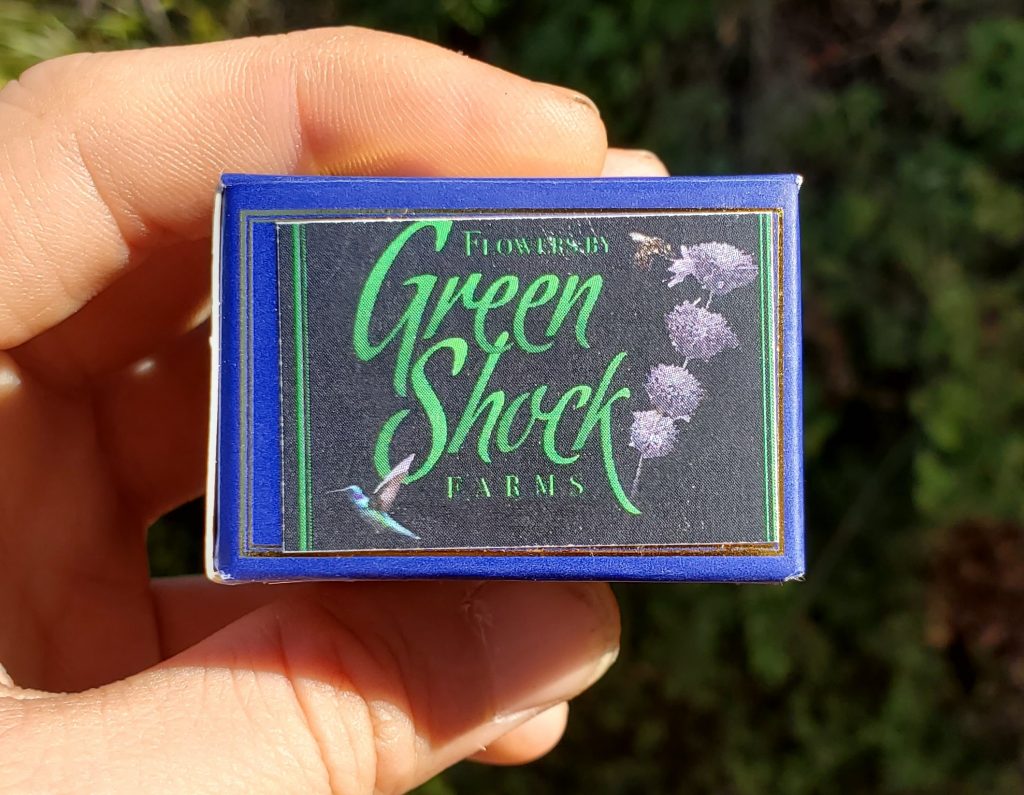 guild green shock label