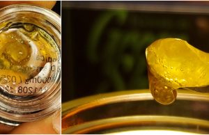 guild extracts review