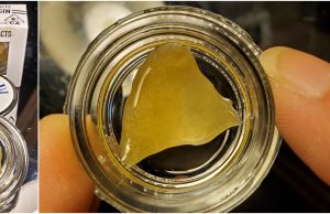 punch extracts review