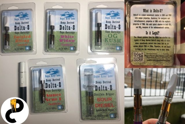 rogue river labs review