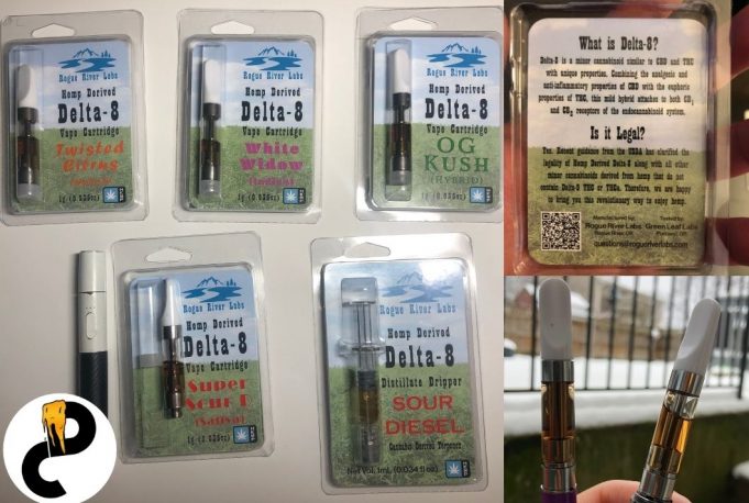 rogue river labs review