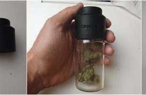 Canlock Review – Keeps Things Fresh, It Actually Works canlock review