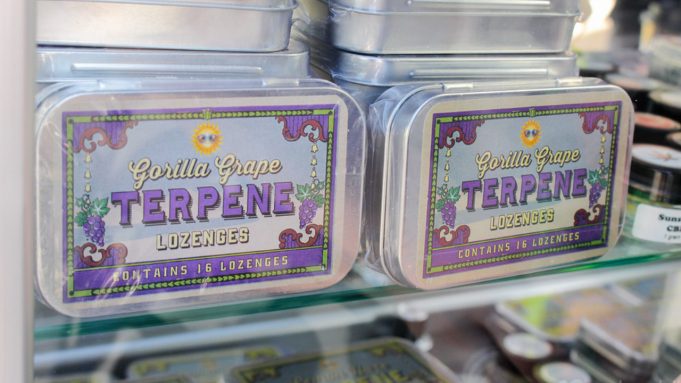 Terpenes and Cannabis : Twenty Facts That Will Surprise You terpenes_and_cannabis