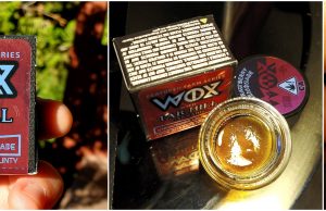 wox extracts review