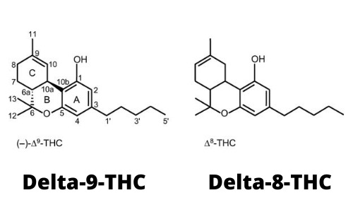 Delta-8-vs-Delta-9-THC