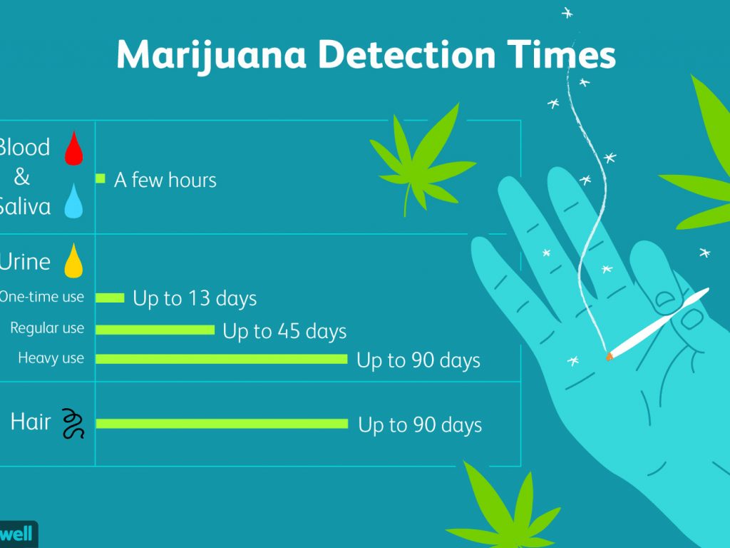 how-long-does-marijuana-stay-in-the-system