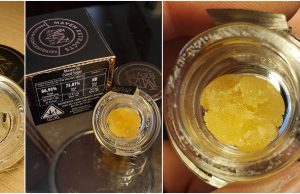 mave -extracts review