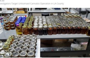 Dispensary_raids