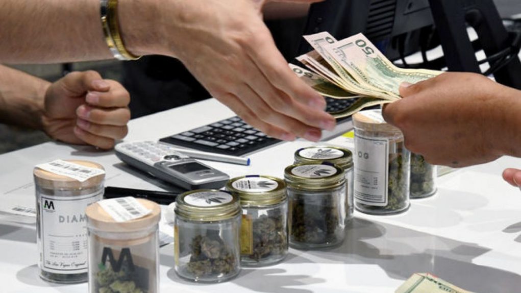 cash_for_cannabis cash_for_cannabis