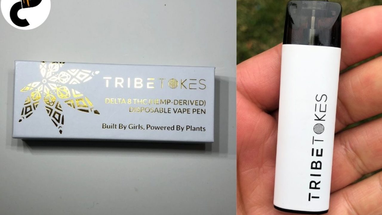 TribeTokes Disposable Review - Delta8 Vape Deliver Smooth Yet Light Hits