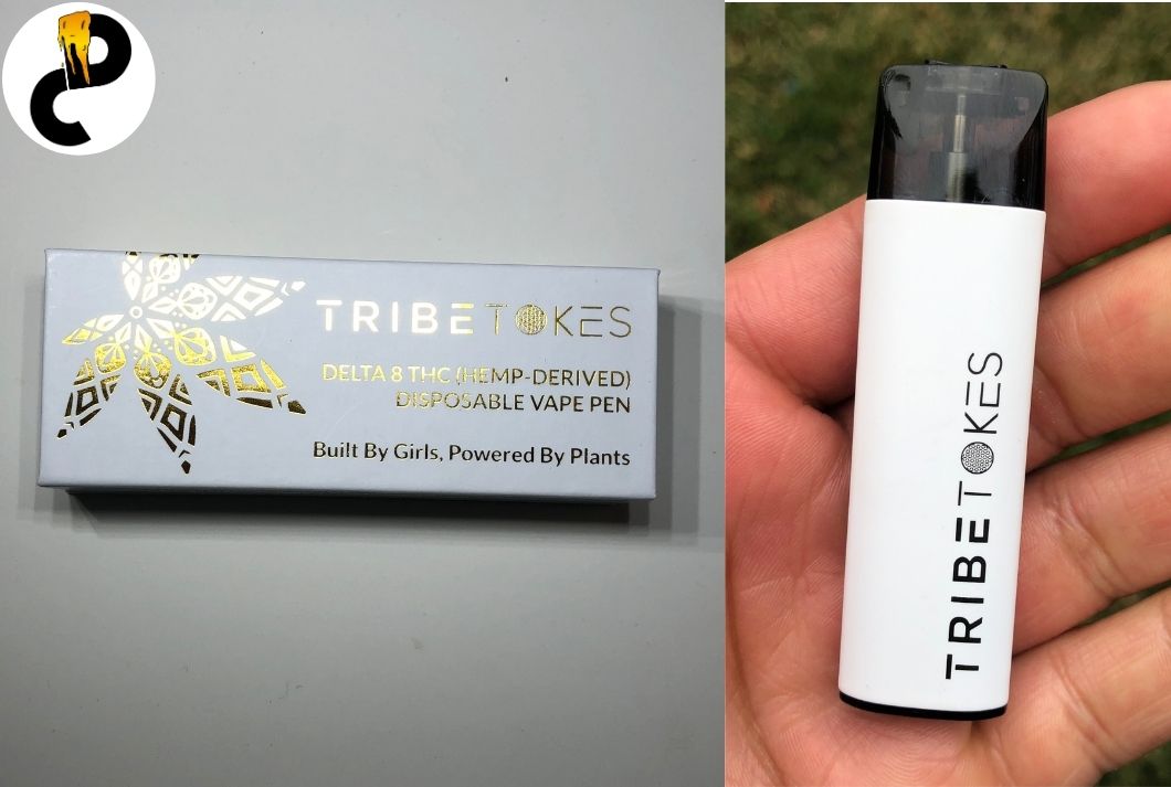 Delta 8 THC Vape Starter Kit - Cart and Battery - TribeTokes